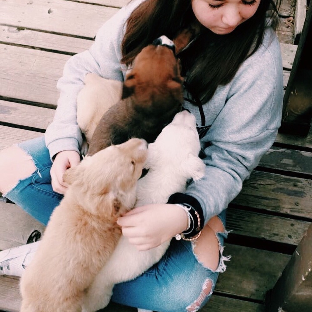 Meet your Posher, Rylee